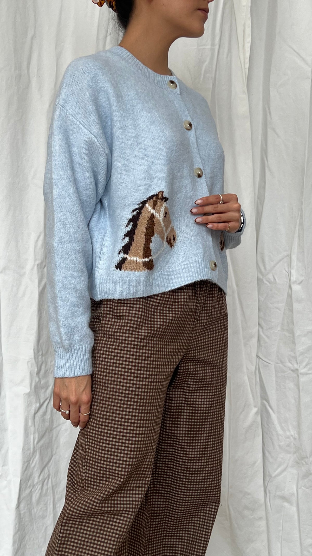 Cardigan caballo