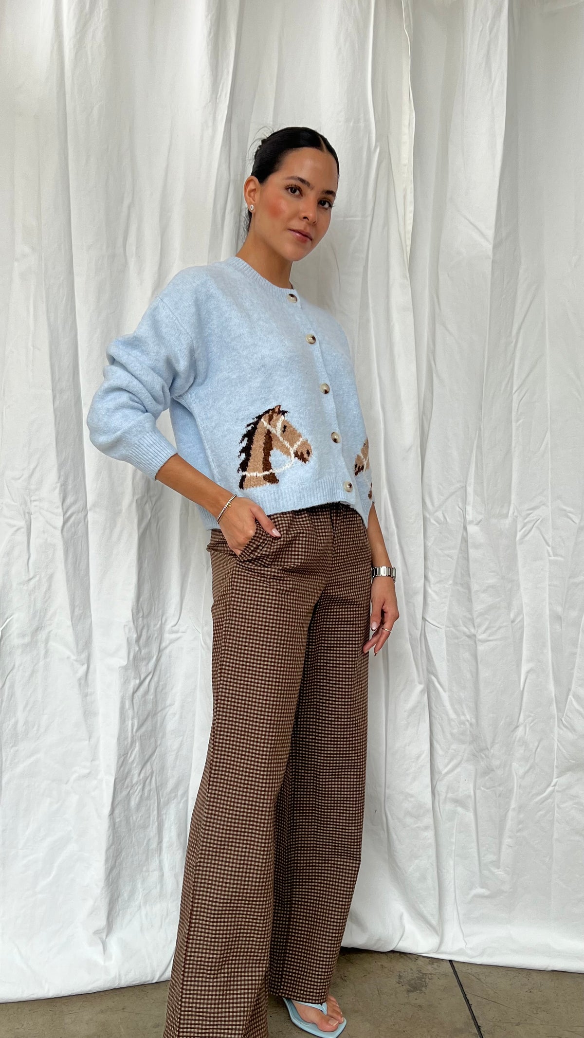 Cardigan caballo