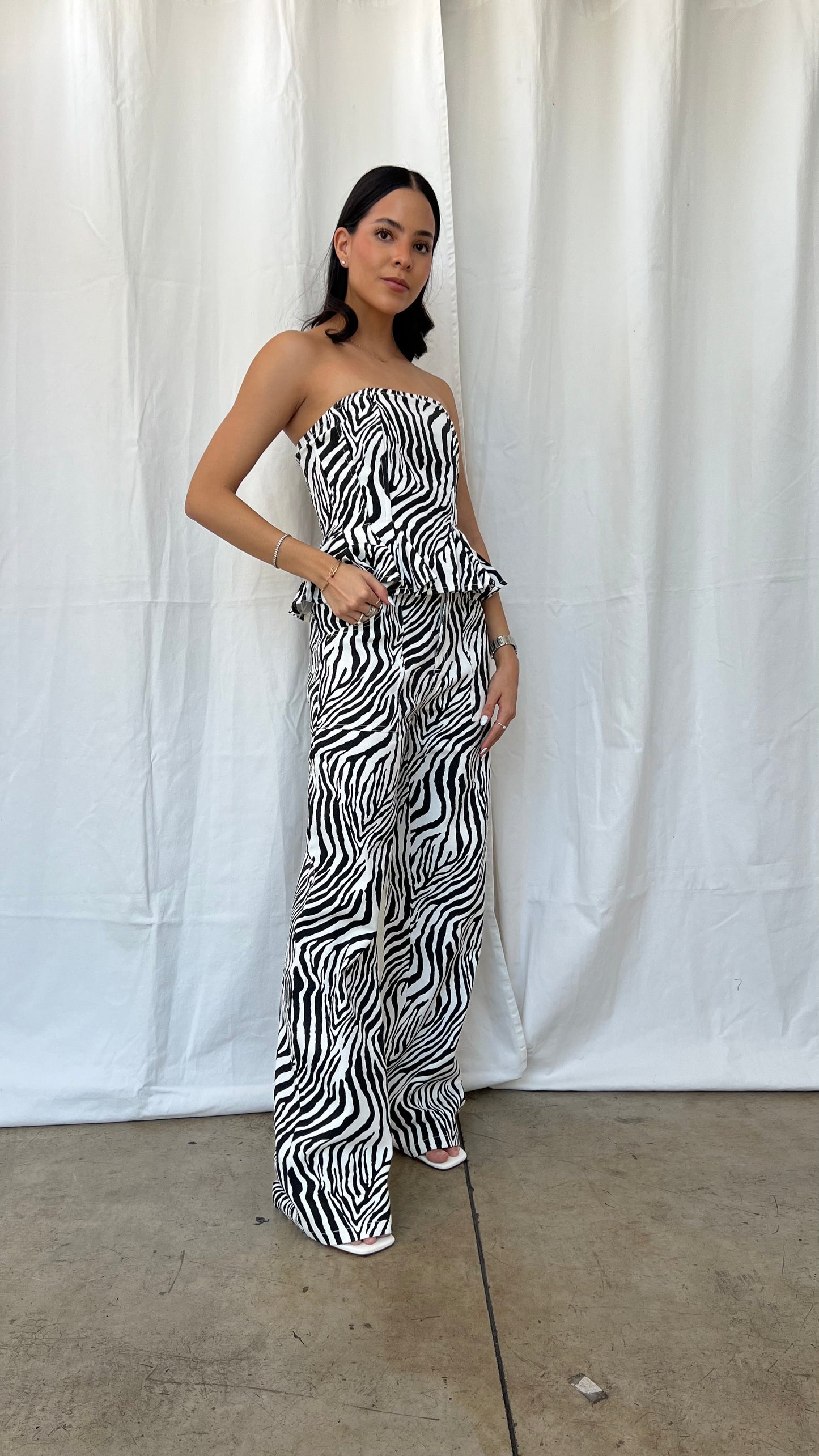 Set zebra