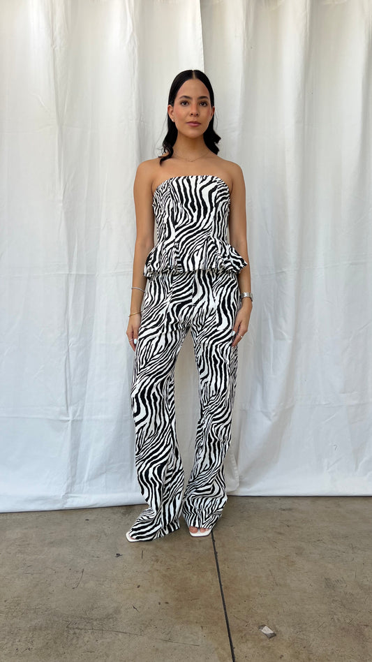 Set zebra